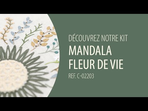 Voir la vidéo