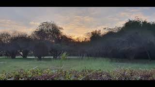 صورة الصالون الأدبي ( أبو العلاء المعري ) 16