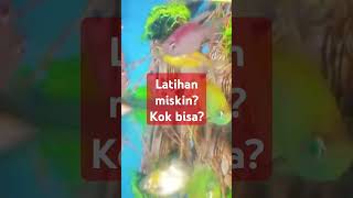 Download lagu #dosa #uas #quotes #storywa #ceramahlucu #ceramahsingkat #zainudinmz #zainudinmzceramahlucufull mp3