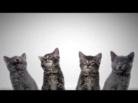 TMall Double 11 Festival on Vimeo