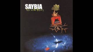 Saybia - The Odds, lyrics included.