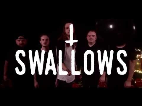 Swallows - 