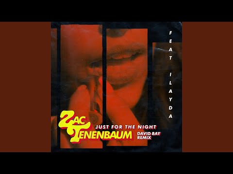 Just for the Night (David Bay Remix)