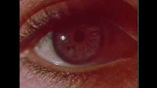 Magic Castles   Silent