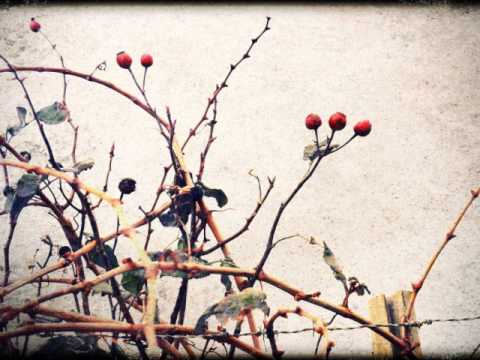 Vib Gyor - Red Lights