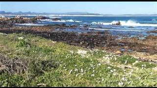 preview picture of video 'Franskraal - Western Cape - South Africa'