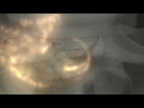 Traction -  Lyons Institute Biodynamic Craniosacral Therapy