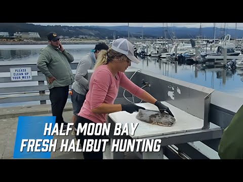 Pillar Point Harbor | Half Moon Bay, California – Fresh Halibut Experience
