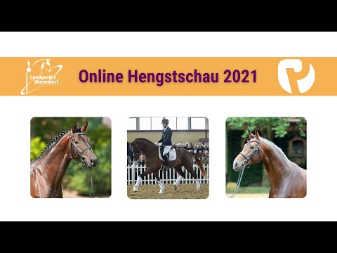 Online Hengstschau des NRW Landgestüts 2021