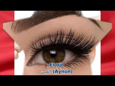 Las partes de la cara en Árabe (letras en español) اجزاء الوجه