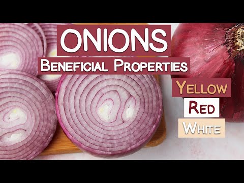 Onions and Their Beneficial Properties | Yellow, Red & White Video