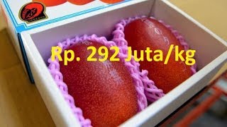 Download lagu 7 buah termahal di dunia ada yang mencapai Rp. 292Juta/kg mp3 Download lagu 7 buah termahal di dunia ada yang mencapai Rp. 292Juta/kg mp3