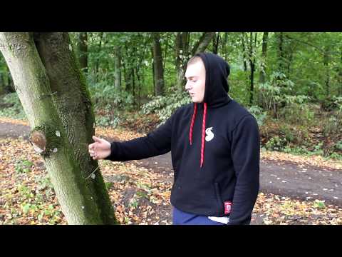 Zioło OG - Moja Gitara (Official Video)