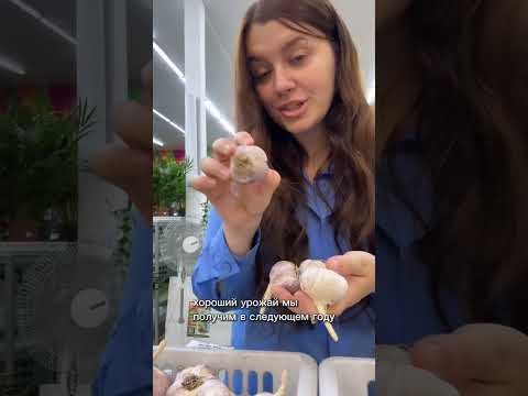 Удачный сад: видео