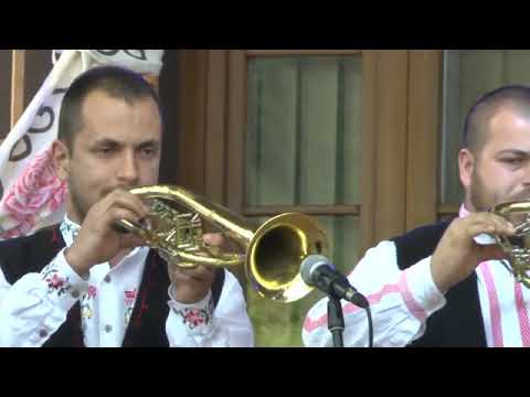 Timocki Veseljaci - Au au injima mja 2020