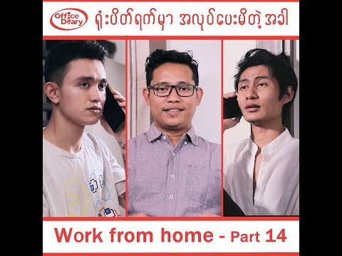 Office Diary - Work from home - part 14