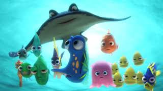 Stingrays Migrating  Dory Gets Swept Away and Remembers Her Parents Finding Dory Scene 8