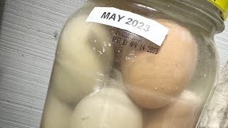 The TRUTH about EATING Water Glassed Eggs 2.5 YEARS OLD!