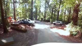 Jedediah Smith Campground Video