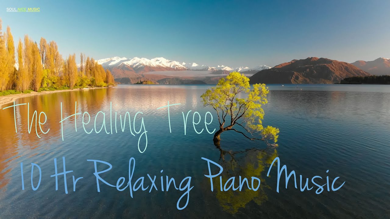 The Healing Power Of Trees - 10 Hour Of Relaxing Trees Healing Piano Music