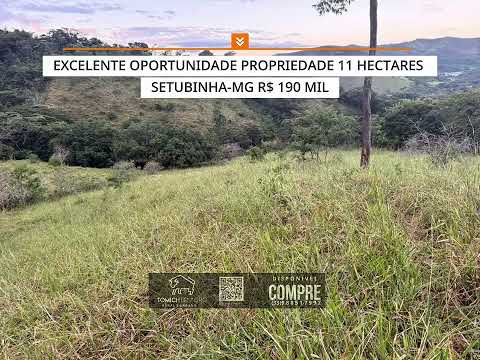EXCELENTE PROPRIEDADE 11 HECTARES SETUBINHA-MG R$ 190 MIL #luxo #gado #brasil #agro #rural #roça 
