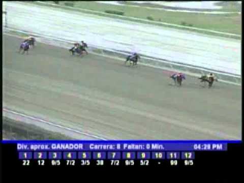 Resumen Sabado, 25 de Febrero de 2012 - La Rinconada