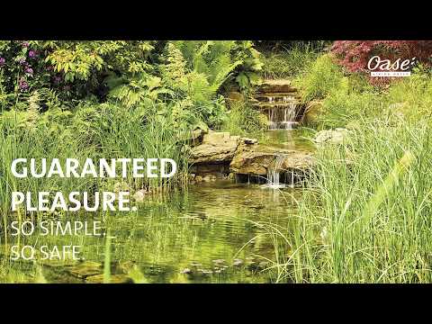 Watch Video on YouTube