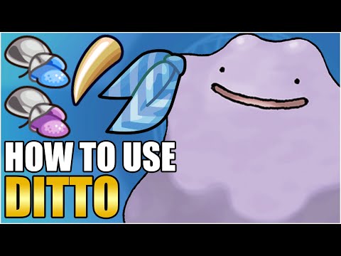 Click to play Video