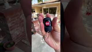 Possibly the Meanest Wake-Up Prank Ever… Blame the BossHorn!