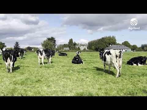 IHFA Focus Farm Open Day