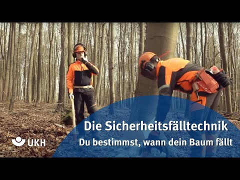 The safety felling technique - you decide when your tree falls!