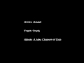 Aswad - Truth