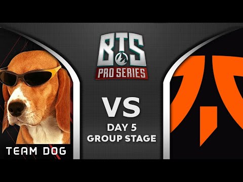 TEAM DOG vs FNATIC - ABED + ICEICEICE vs FNATIC - BTS Pro Series S4 2020 Highlights Dota 2