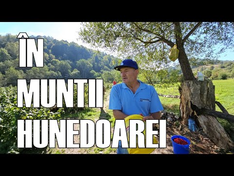 Negoiu Village, a Little Paradise in the Poiana Ruscă Mountains