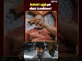BUDGET பற்றி ஏன் விஜய் பேசவில்லை Che Guevara Jaishankar 