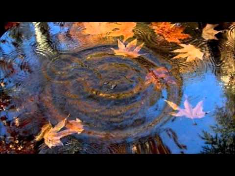 Арик Айнштейн Листопад в сердце