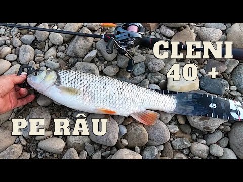 Rapala Countdown CD03 3cm 4g MD