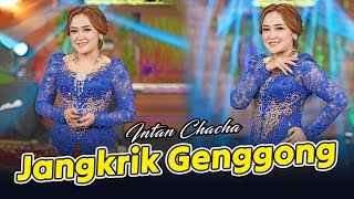 Download lagu Intan Chacha - Jangkrik Genggong mp3 Download lagu Intan Chacha - Jangkrik Genggong mp3