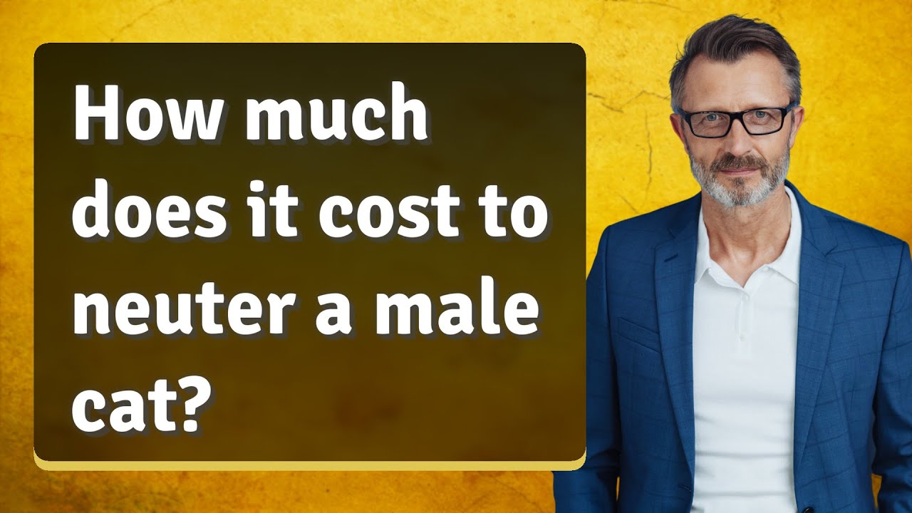 How much does it cost to neuter a cat Toronto? Tipseri