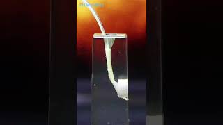 Download lagu Calcium Hydroxide with different components #ytshorts #dental mp3 Download lagu Calcium Hydroxide with different components #ytshorts #dental mp3