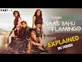 Saas Bahu Aur Flamingo (2023) Web Series Explained In Hindi || Saas Bahu aur Flamingo Explained