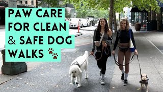 Paw Care Tips for Safe Walks & Infection Prevention