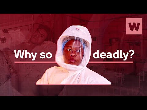 Why is TB still the deadliest infectious disease? | Wellcome