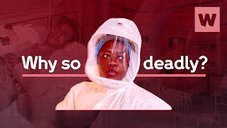 Why is TB still the deadliest infectious disease? | Wellcome