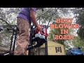 This May Be The Best Blower Shindaiwa EB770RT Review