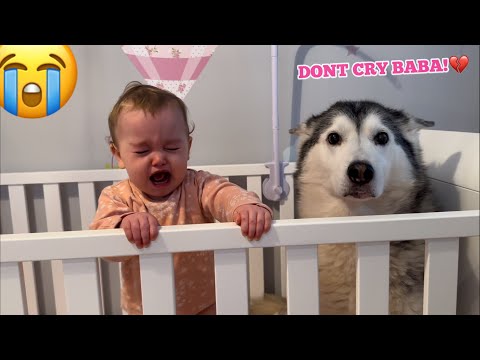 YouTube 썸네일