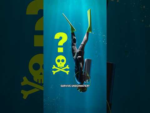 What Would Happen To Your Body In The Deep Ocean?