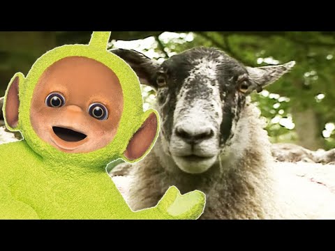 Animals Pack - Sheep - Teletubbies - Full Episode Compilation