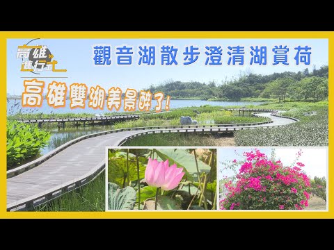 觀音湖散步澄清湖賞荷 高雄雙湖美景醉了 ◆高雄進行式