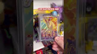 Destined Rivals Rapidash Illustration Rare 189/182! #pokemon #pokemoncards #pokemontcg
